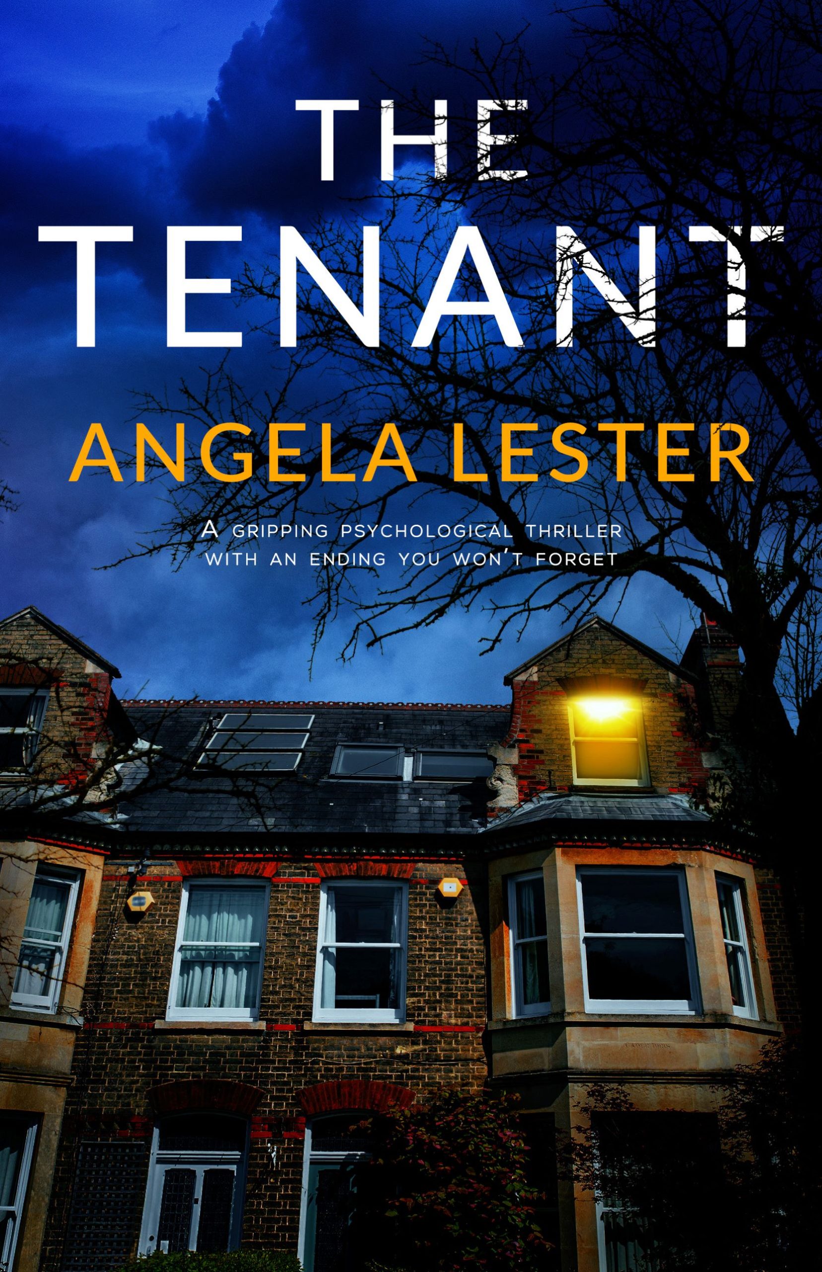ANGELA LESTER NEW RELEASE – THE TENANT