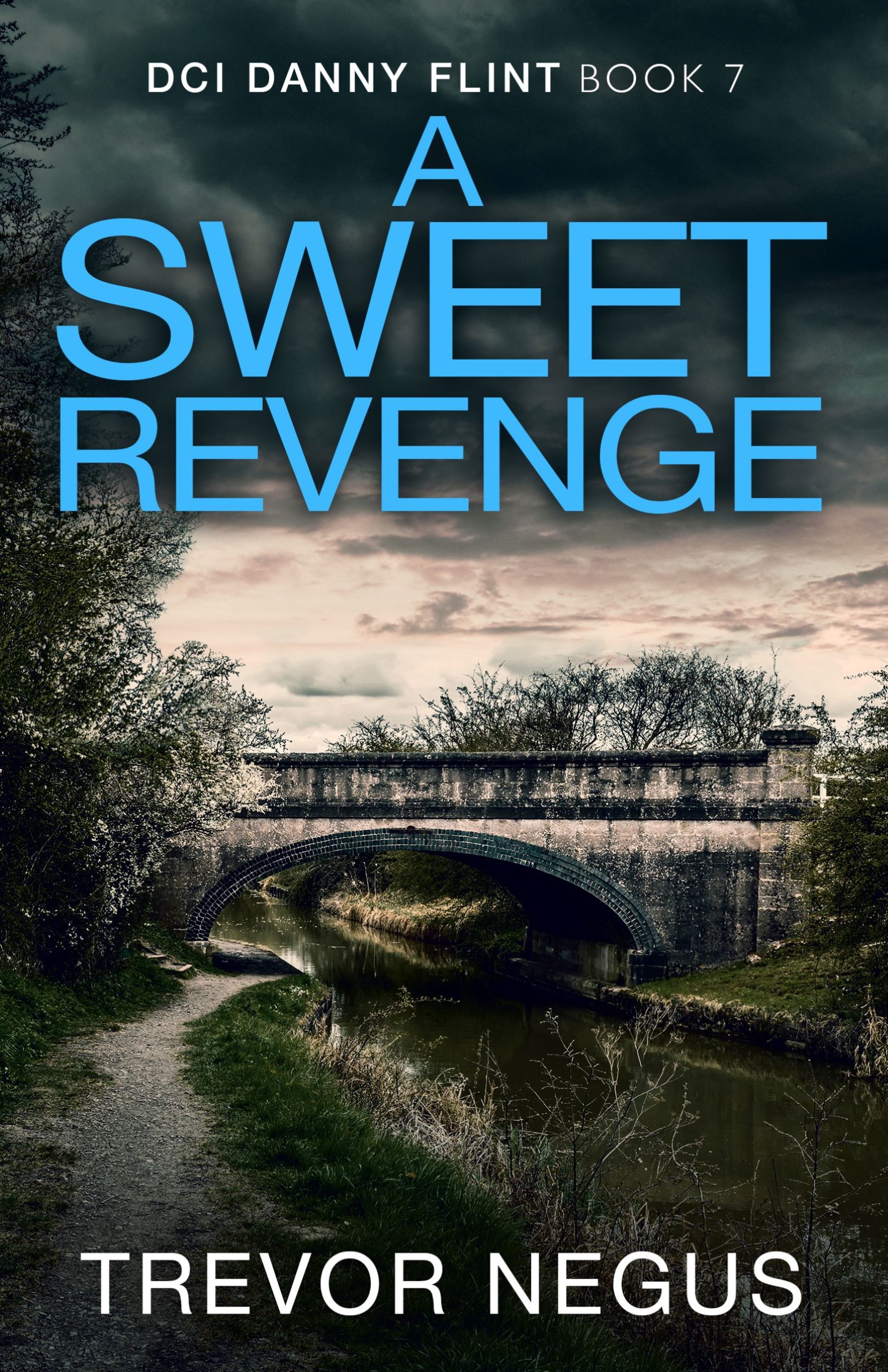 TREVOR NEGUS NEW RELEASE – A SWEET REVENGE