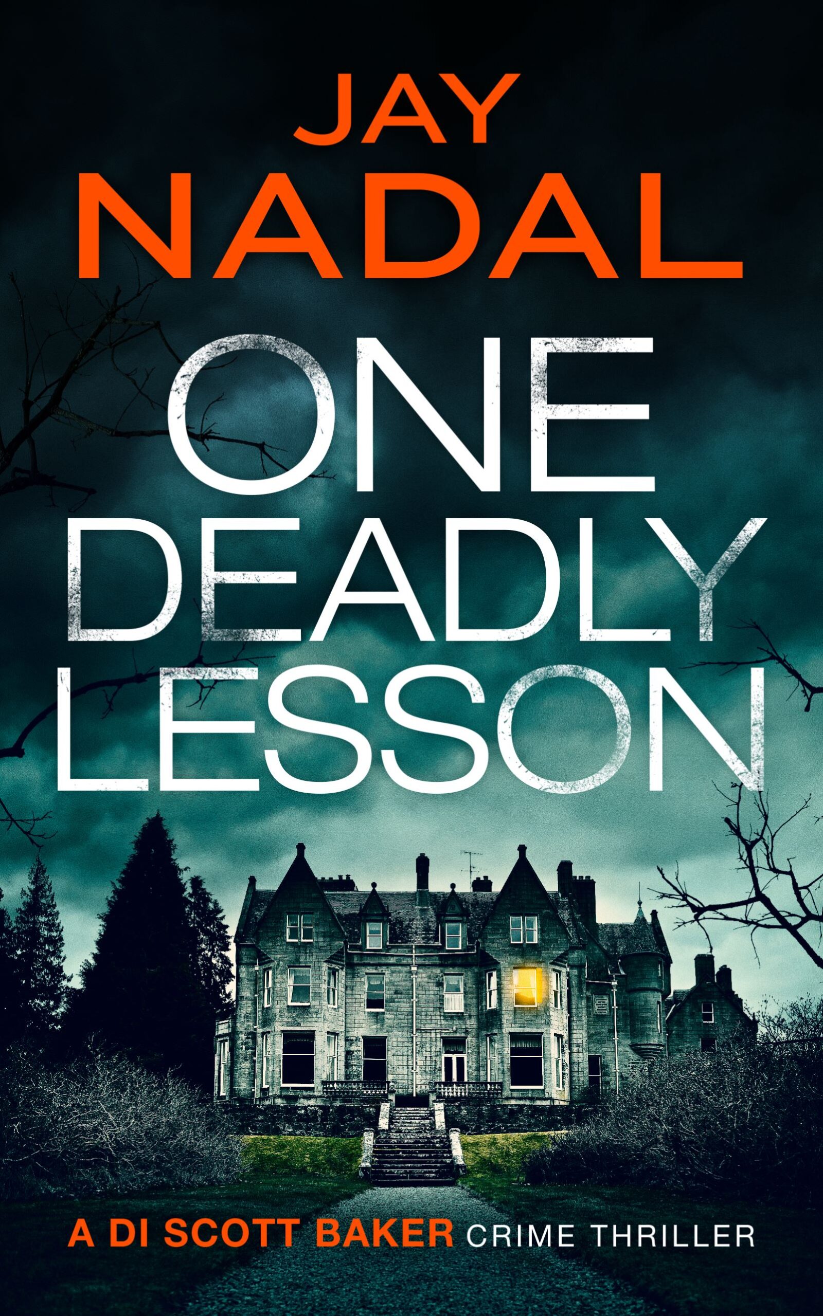 JAY NADAL NEW RELEASE – ONE DEADLY LESSON