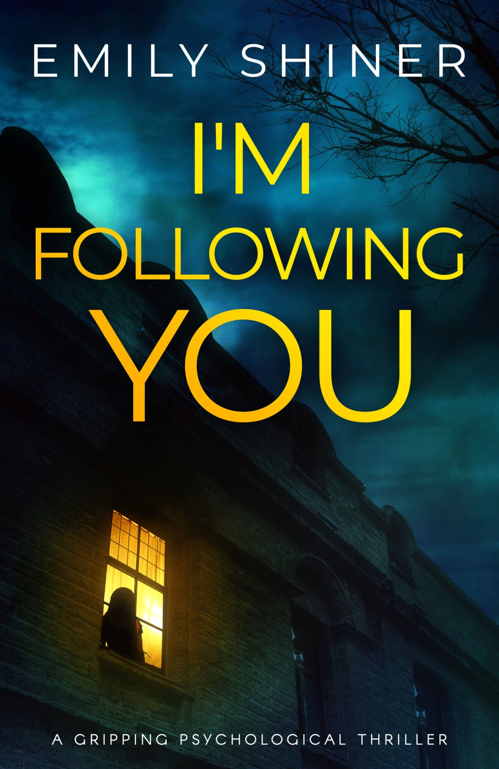 EMILY SHINER NEW RELEASE – I’M FOLLOWING YOU