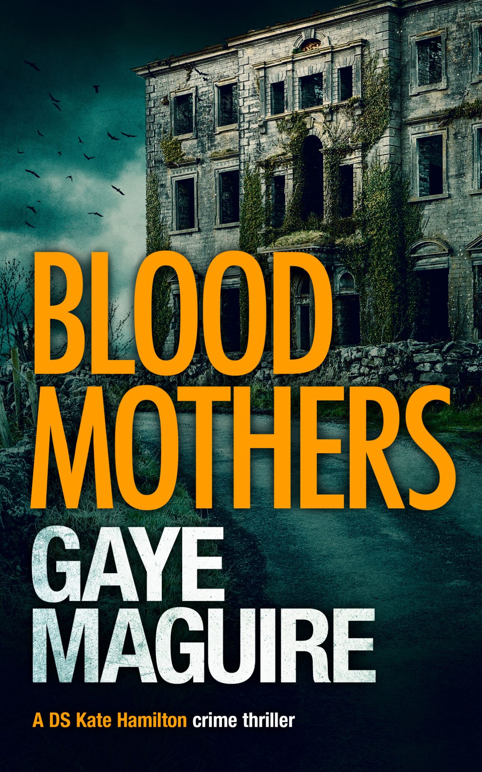 GAYE MAGUIRE NEW RELEASE – BLOOD MOTHERS