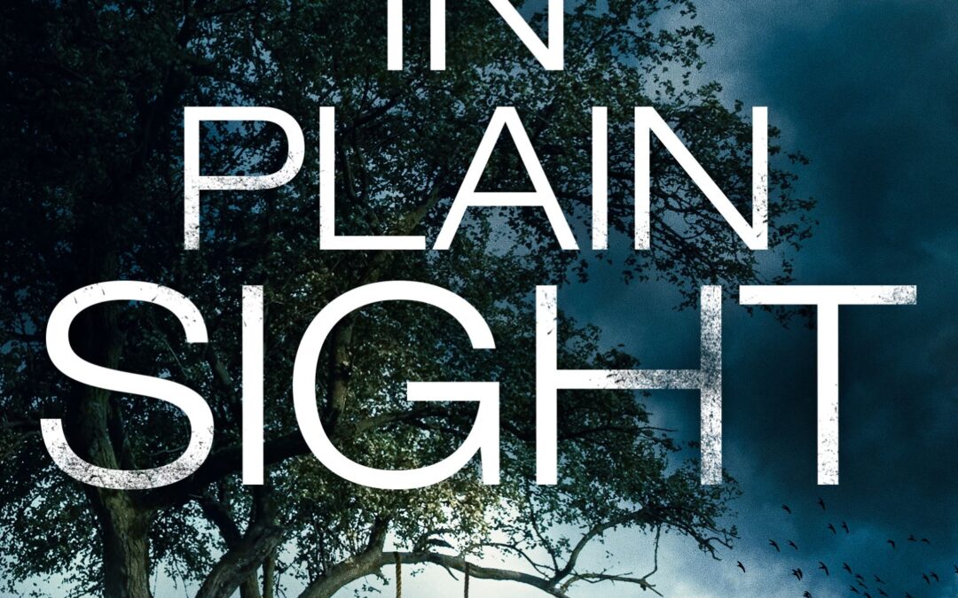 JAY NADAL NEW RELEASE – IN PLAIN SIGHT