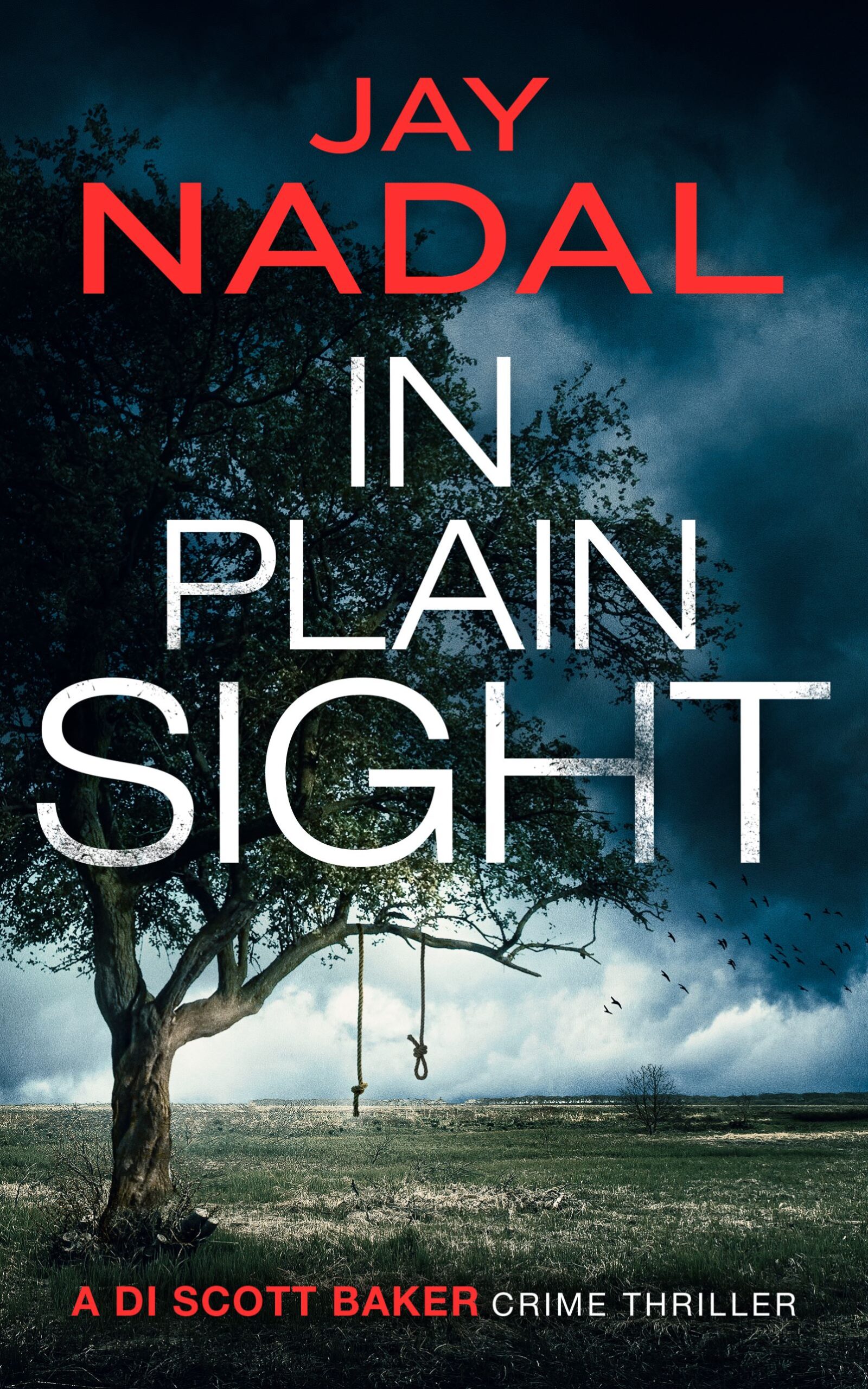 JAY NADAL NEW RELEASE – IN PLAIN SIGHT