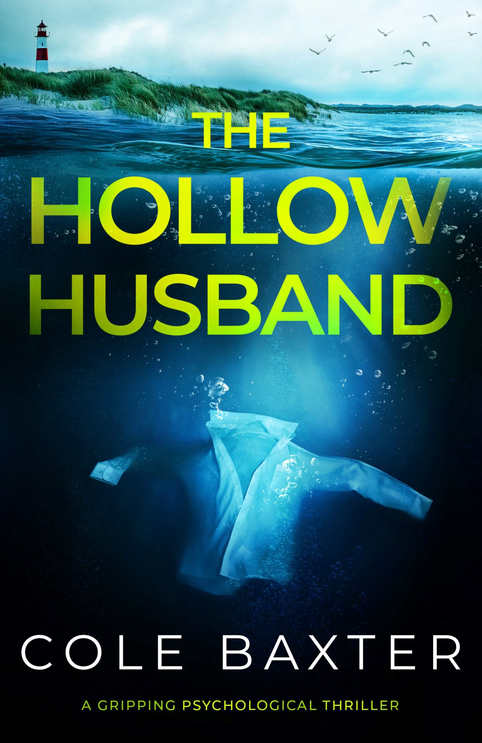 COLE BAXTER NEW RELEASE – THE HOLLOW HUSBAND