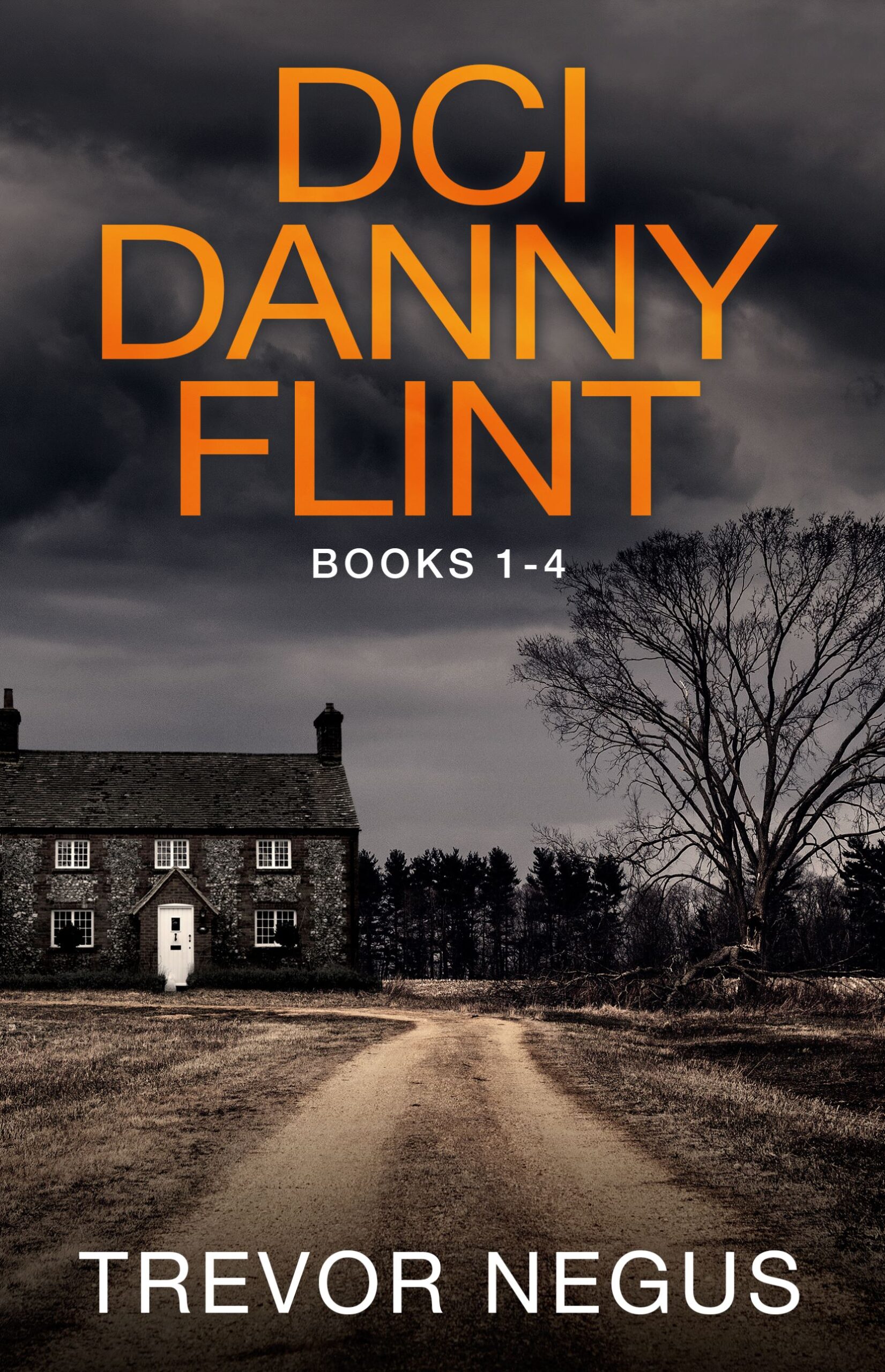 TREVOR NEGUS NEW RELEASE – DCI DANNY FLINT BOX SET (BOOKS 1-4)