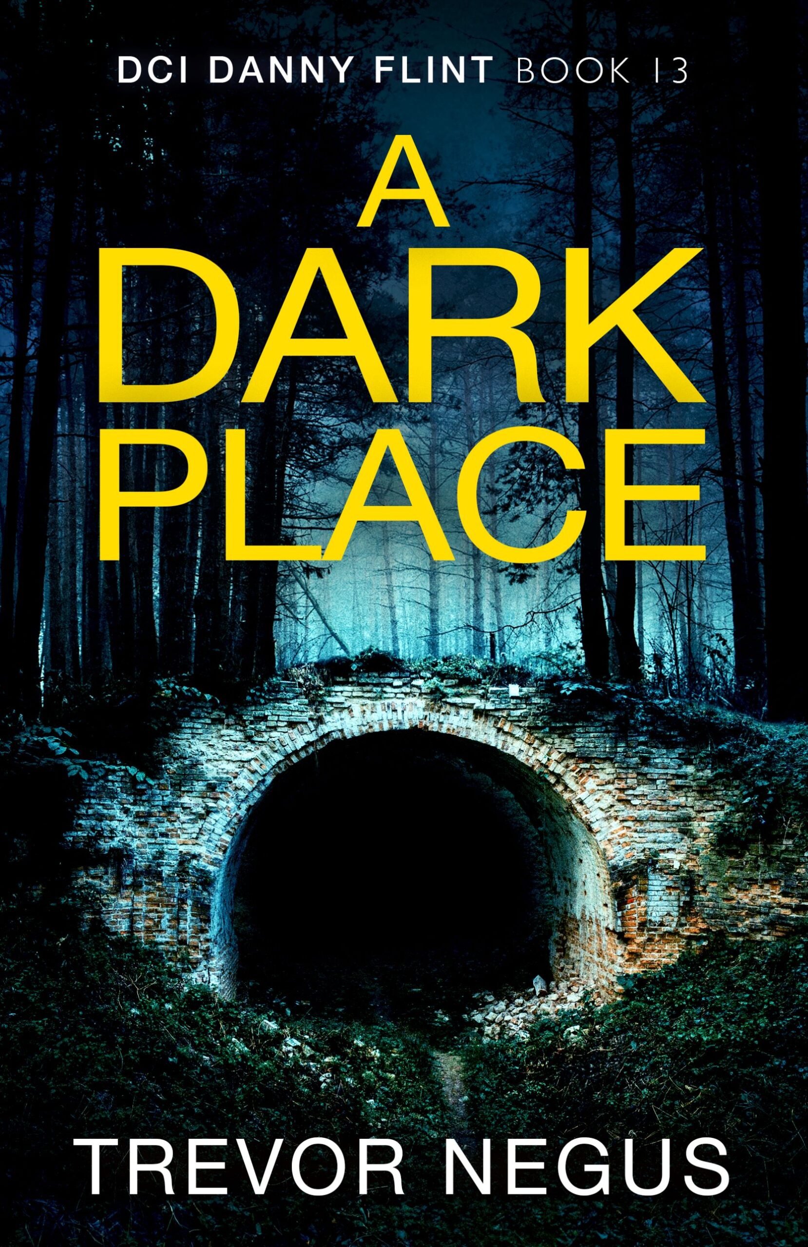 TREVOR NEGUS NEW RELEASE – A DARK PLACE