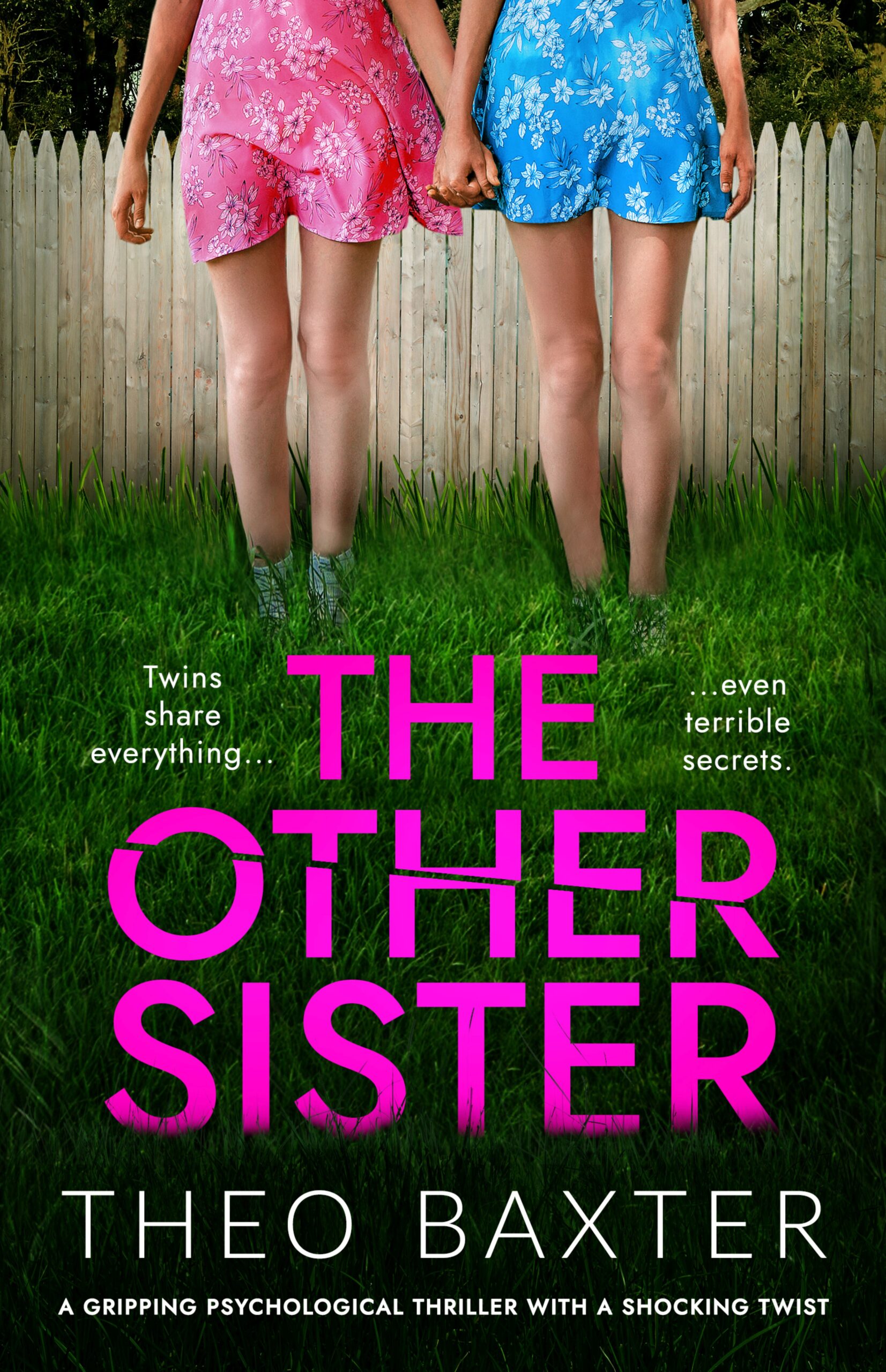 THEO BAXTER NEW RELEASE – THE OTHER SISTER
