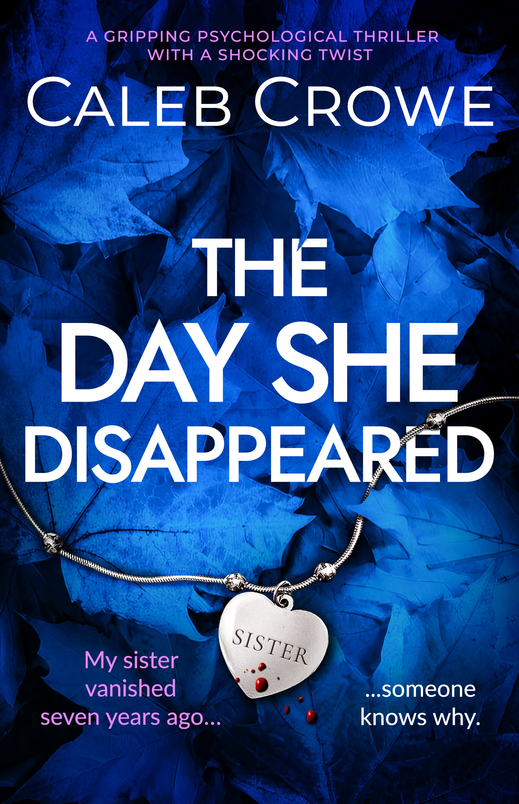 CALEB CROWE’S NEW RELEASE – THE DAY SHE DISAPPEARED